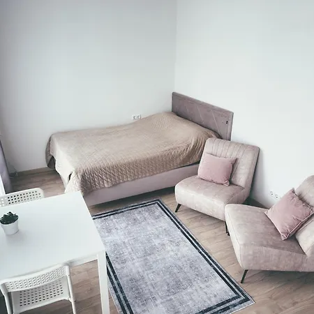 Apartment With A Large Balcony *