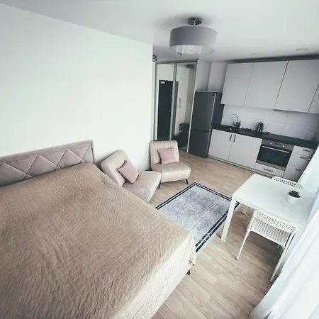 Apartment With A Large Balcony